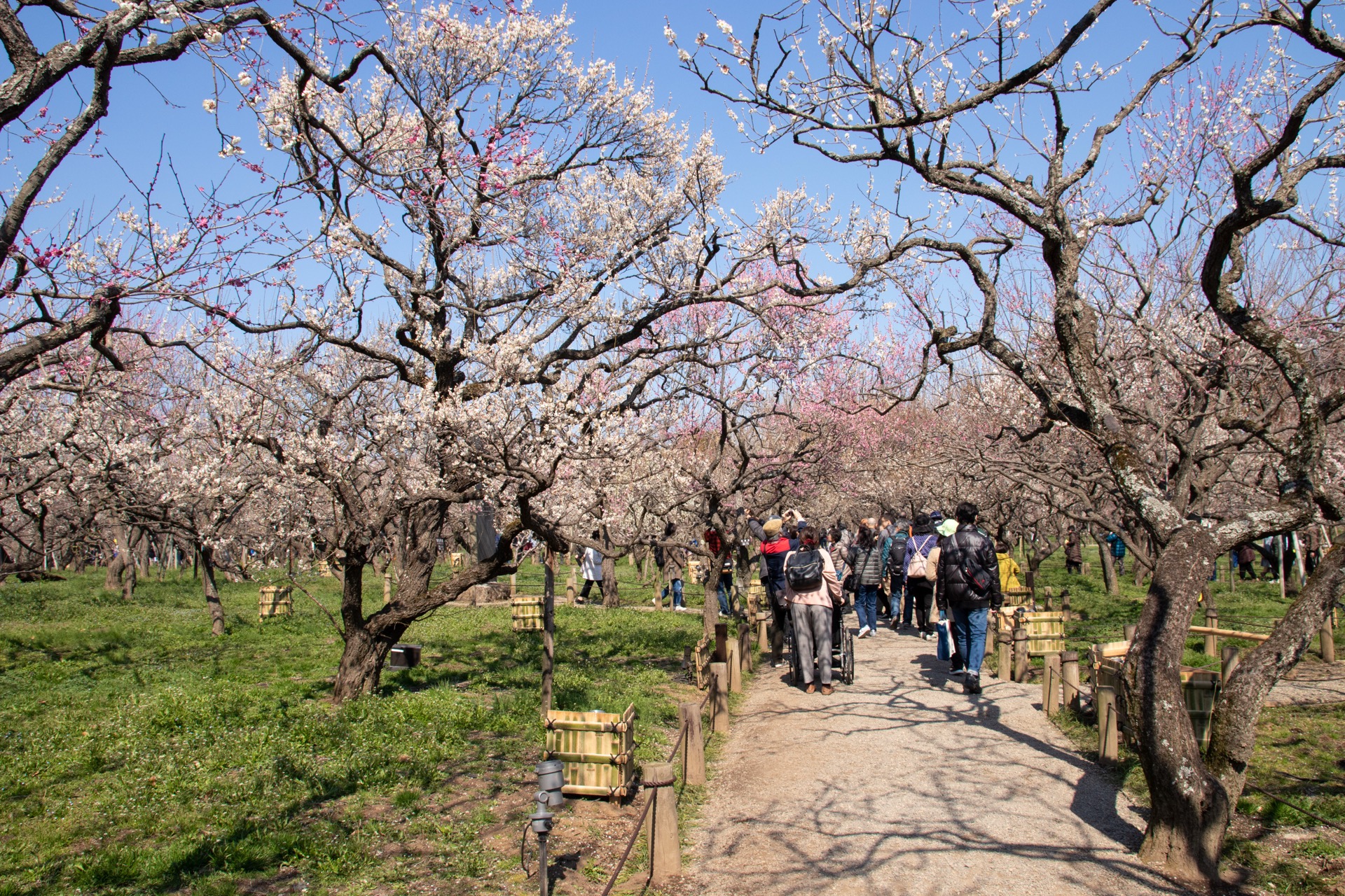エリアの風景